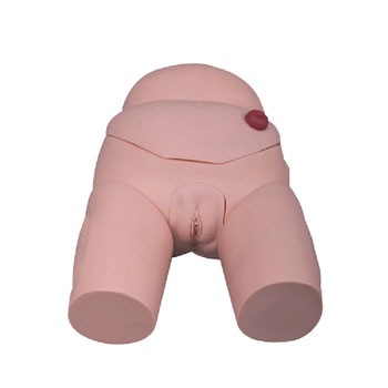  高級女性導尿模型 KAR/D4