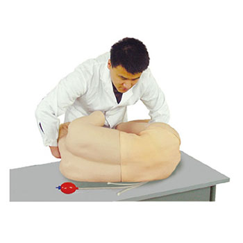  腰椎穿刺訓(xùn)練模型 KAR/CK811