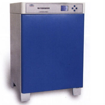 上海恒字隔水式電熱恒溫培養箱PYX-DHS.600-LBS-II