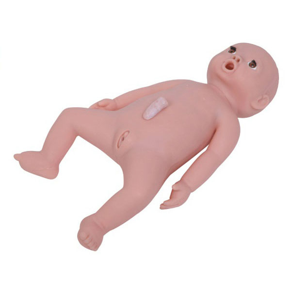  高級嬰兒護(hù)理模型KAR/T13