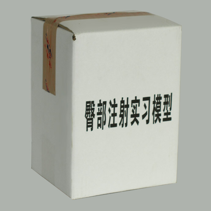  臀部注射實習(xí)模型KAS-S14
