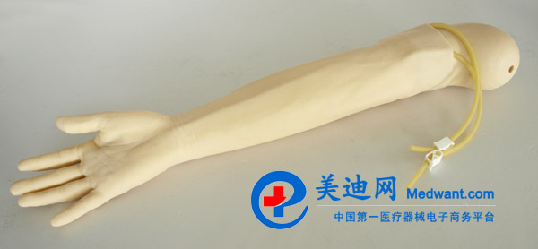 益聯(lián) 高級靜脈穿刺及肌肉注射手臂模型  KAS-S2